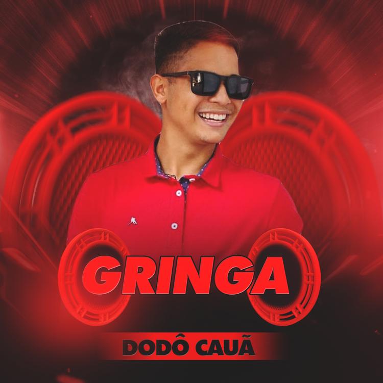 Dodô Cauã's avatar image