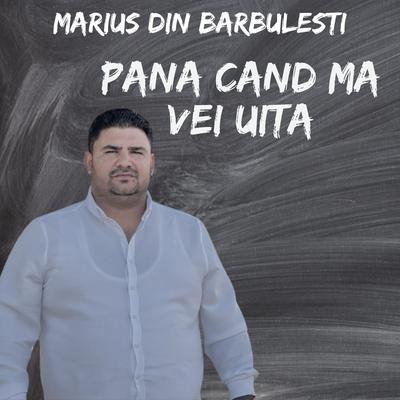 Marius din Barbulesti's cover