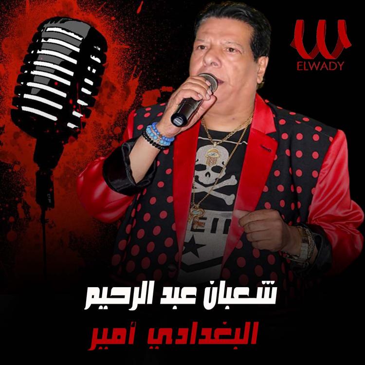 Shaaban Abdel Rehim's avatar image