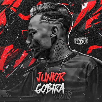 Novinho Charmoso (Remix) By Junior Gobira, Arrochadeira dos FLuxos's cover