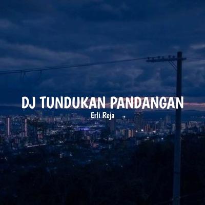 DJ Tundukan Pandangan (Remix)'s cover