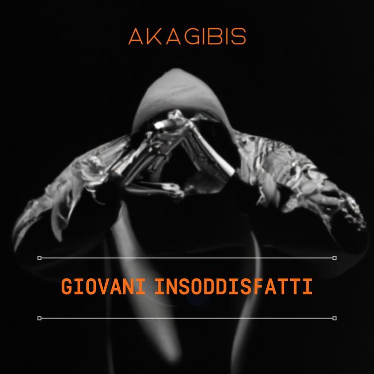 Akagibis's avatar image