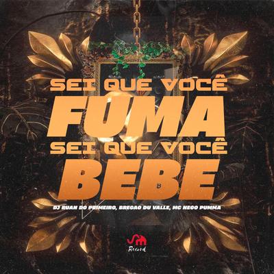 Sei Que Você Fuma, Sei Que Você Bebe's cover