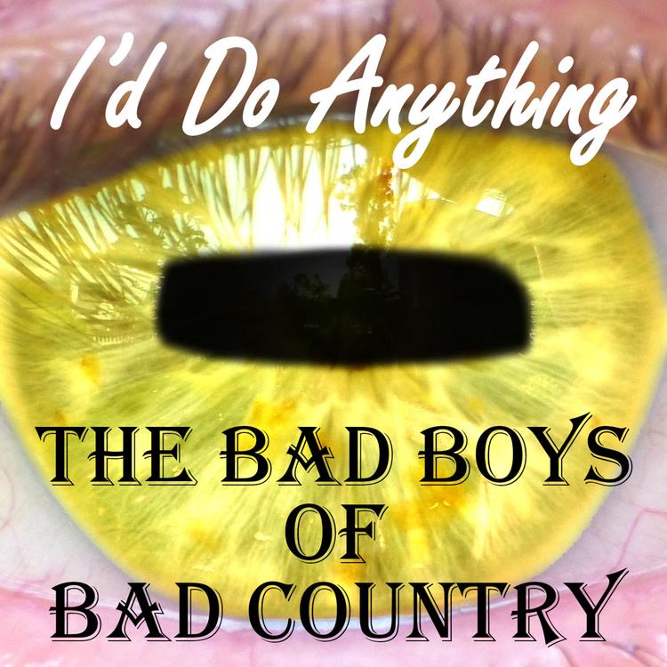 The Bad Boys of Bad Country's avatar image