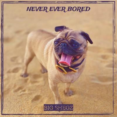 Never Ever Bored By Big Shegz's cover