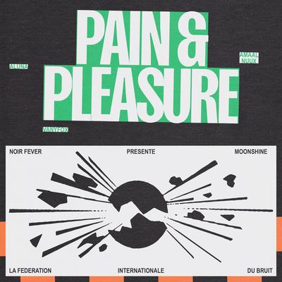 Pain & Pleasure (feat. VANYFOX & Fédération Internationale du Bruit)'s cover