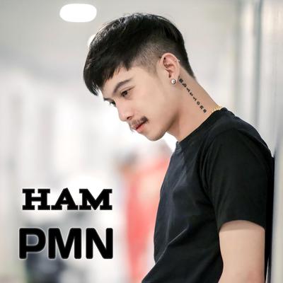 Ham PMN's cover