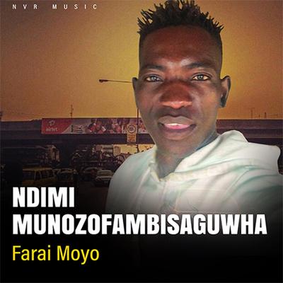 NDIMI MUNOZOFAMBISANGUWHA-FARAI MOYO's cover