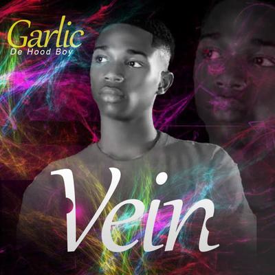 Vein's cover