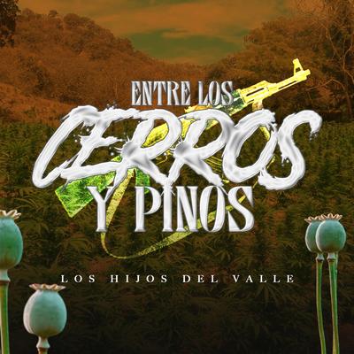 Entre los Cerros y Pinos's cover