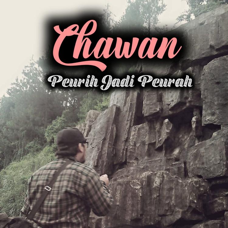 Chawan ibnu's avatar image