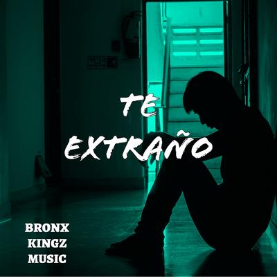 Bronx Kingz Music's cover