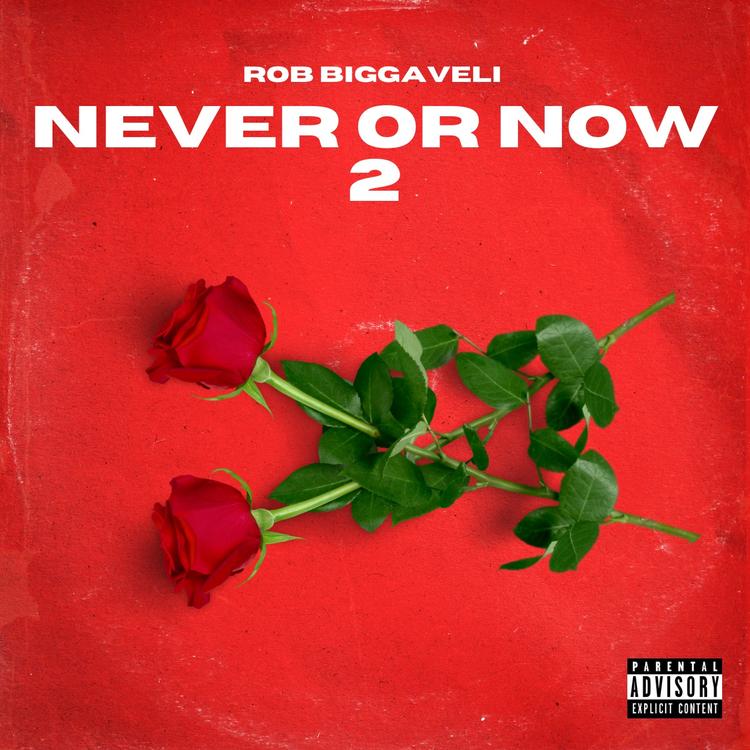 ROB BIGGAVELI's avatar image