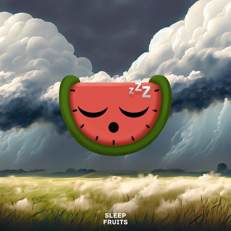 Rain Fruits's avatar image