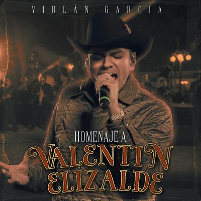 Homenaje a Valentín Elizalde (En Vivo)'s cover