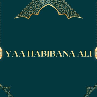 YAA HABIBANA ALI's cover