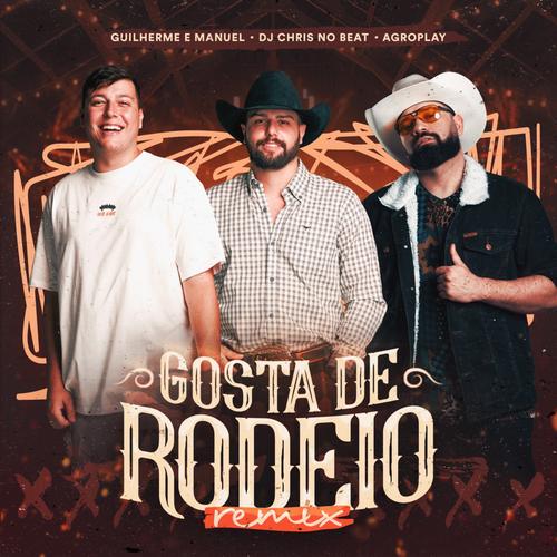 GOSTA DE RODEIO's cover