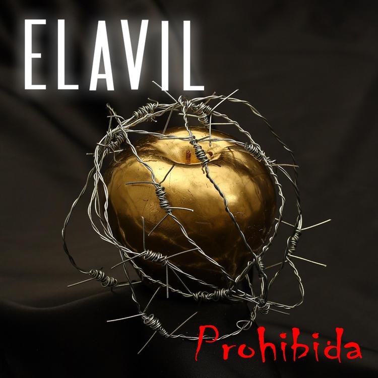 ElaviL's avatar image