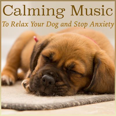 Sleepy Snuggles By Relaxmydog, Dog Music Dreams, Relax My Puppy's cover