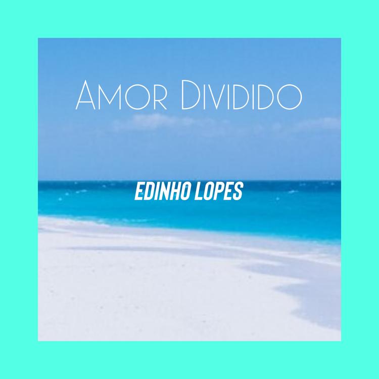 Edinho Lopes's avatar image