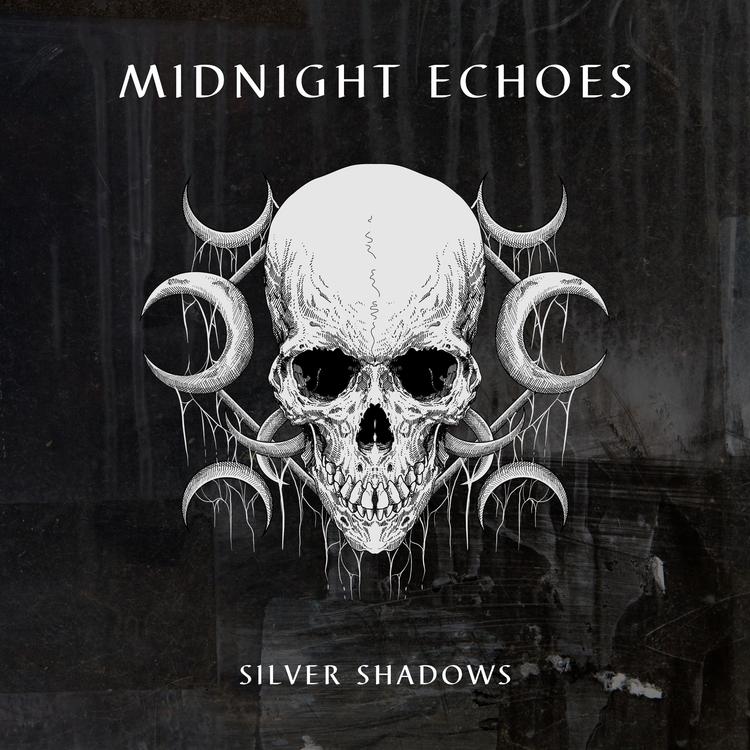 Silver Shadows's avatar image