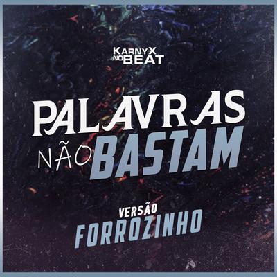 Palavras Não Bastam (Versão Forrozinho)'s cover