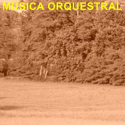 Música Orquestral's cover