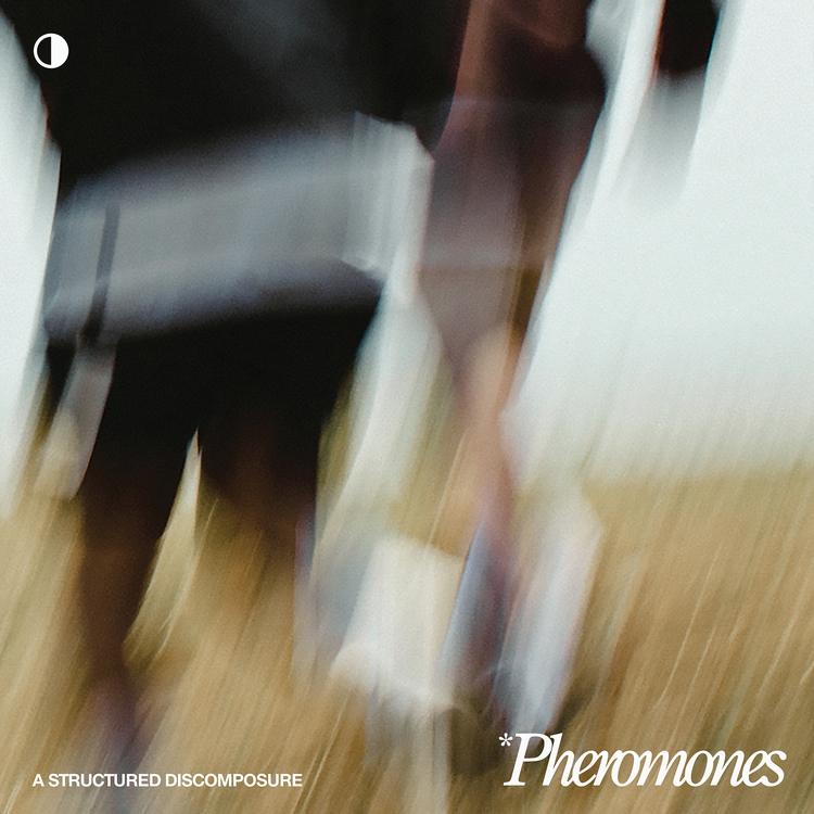 pheromones's avatar image