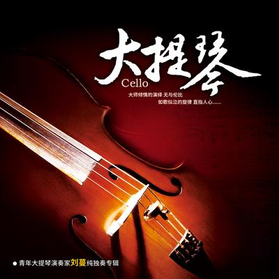 西洋器乐鉴赏—大提琴's cover