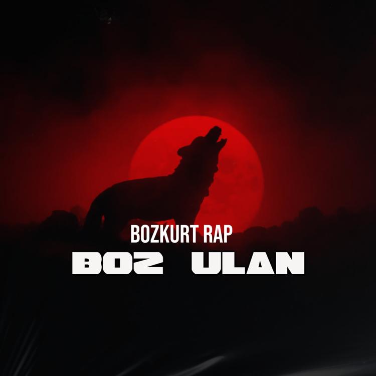 Bozkurt Rap's avatar image