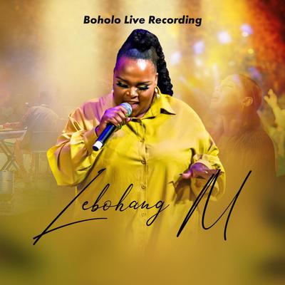 Mamelang Modimo (Live)'s cover