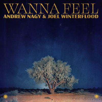 Wanna Feel By Andrew Nagy, Joel Winterflood's cover