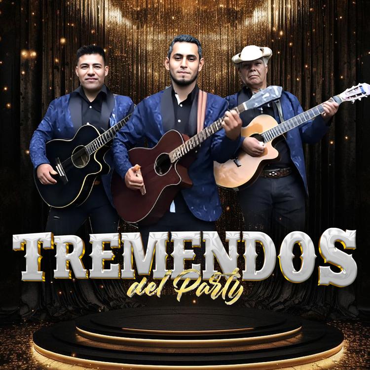 Tremendos Del Party's avatar image