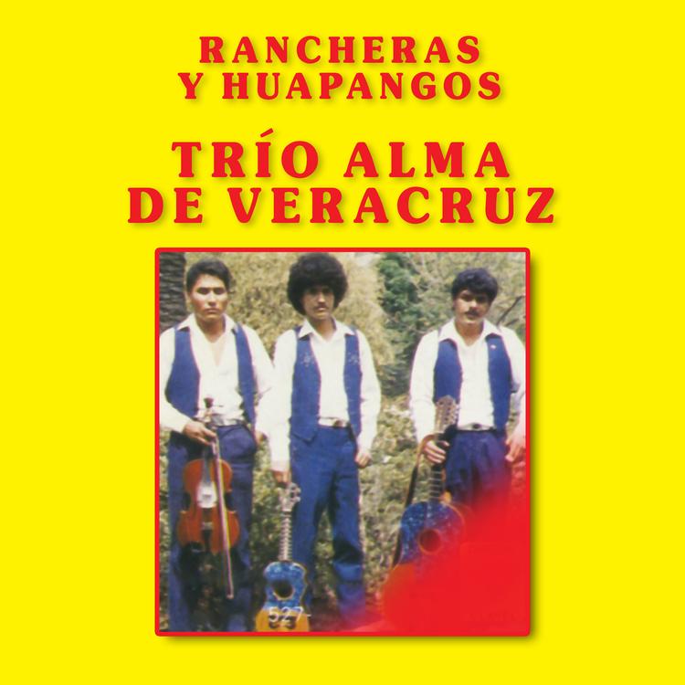 Trío Alma De Veracruz's avatar image