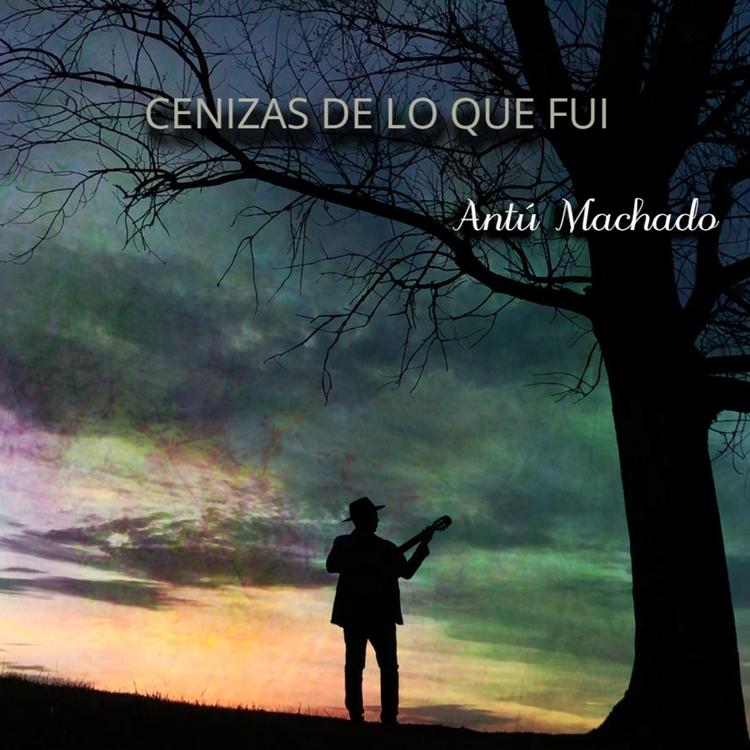 Antu Machado's avatar image