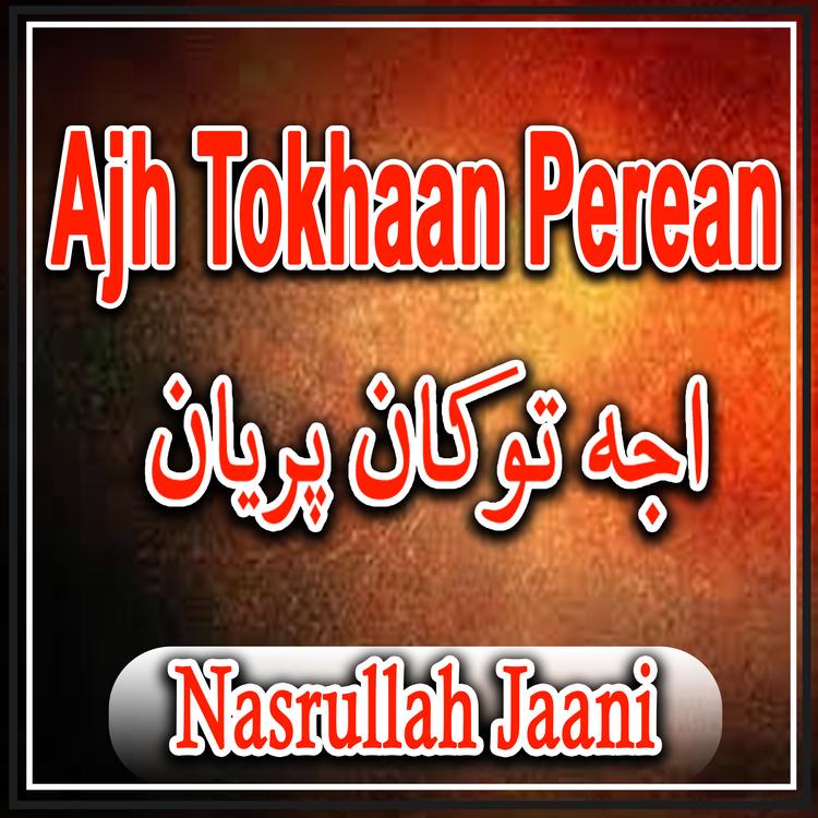 Nasrullah Jaani's avatar image