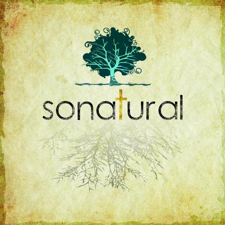 Sonatural's avatar image