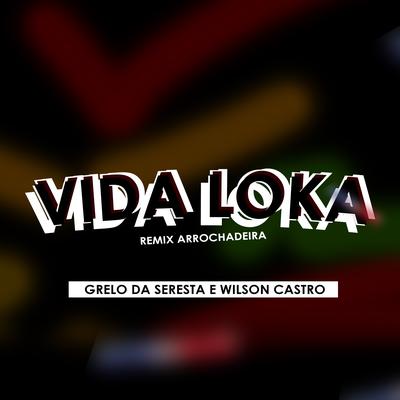 Vida Loka - Arrochadeira By Wilson Castro, Grelo da Seresta's cover
