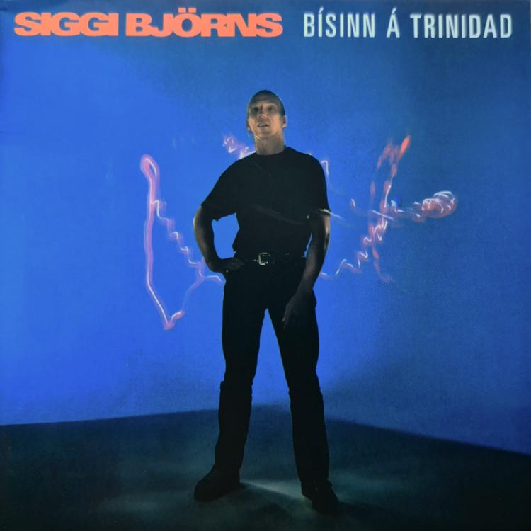 Siggi Björns's avatar image