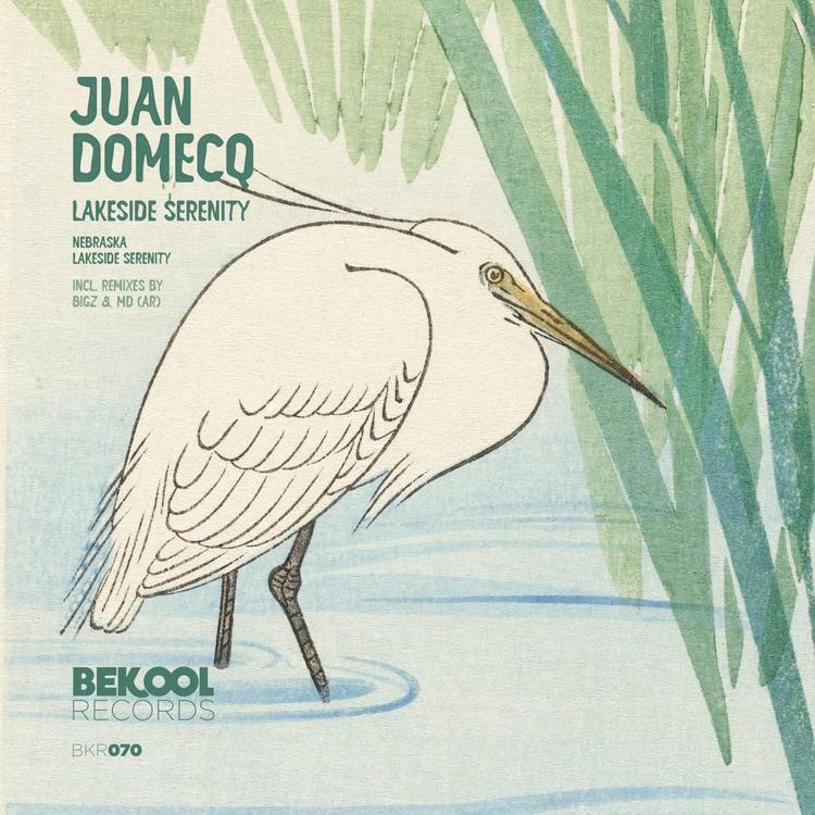 Juan Domecq's avatar image