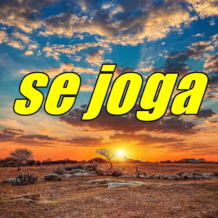 JS Pisadinha's avatar image