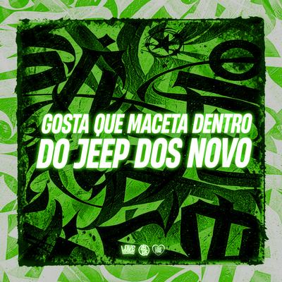 Gosta Que Maceta Dentro do Jeep dos Novo By DJ Ronaldo o Brabo, mc pl alves's cover