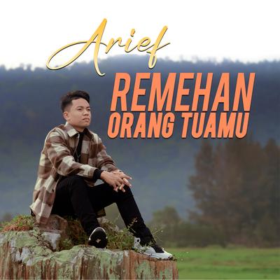 Remehan Orang Tuamu's cover