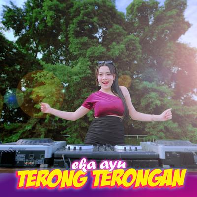 Terong Terongan's cover