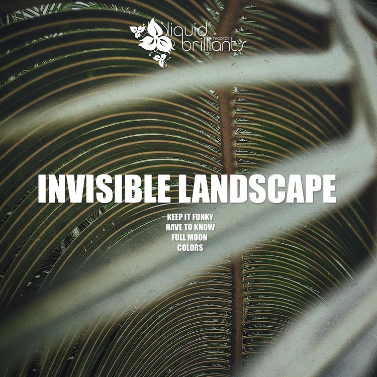 Invisible Landscape's avatar image