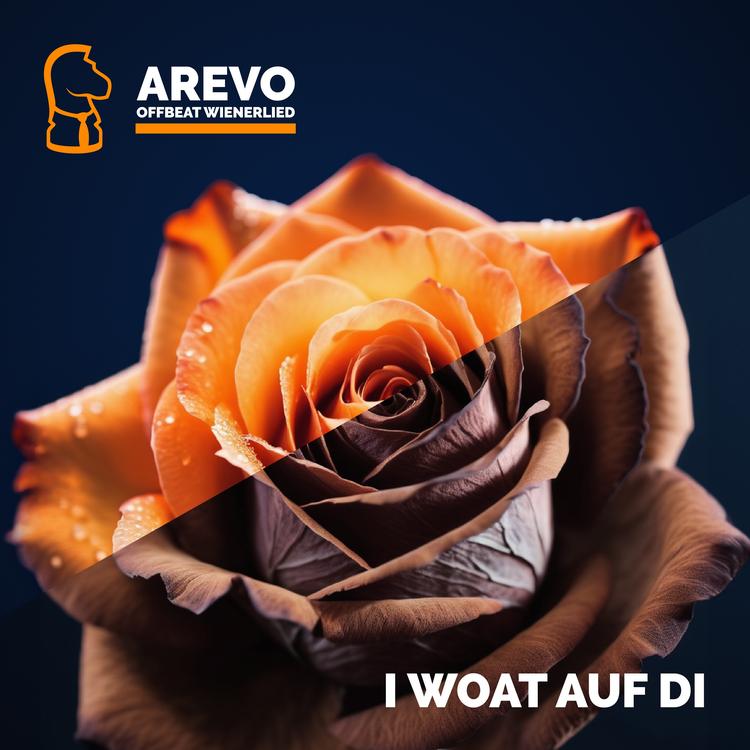 Arevo's avatar image