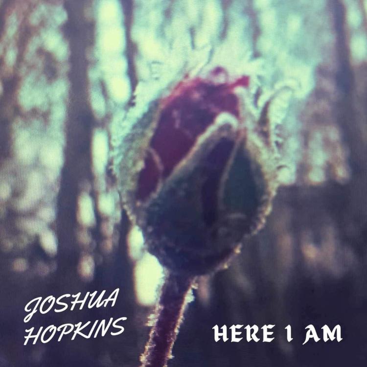 Joshua Hopkins's avatar image