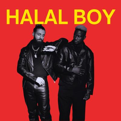 Halal Boy (Slowed + Reverb)'s cover