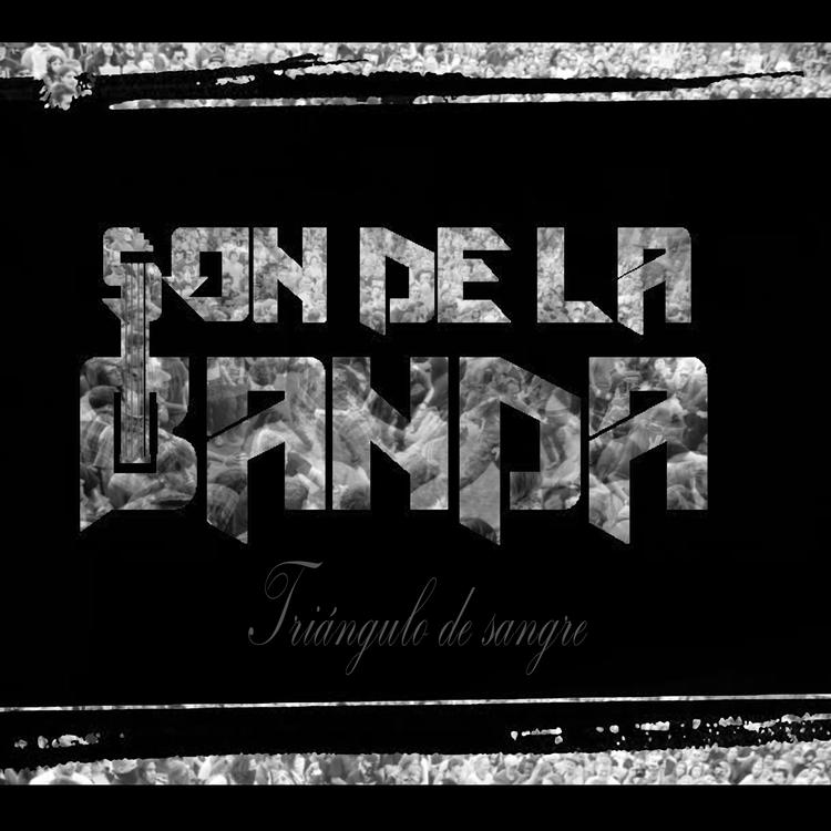 Son de la Banda's avatar image