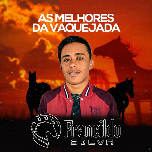 OS MELHORES FORRÓ SÓ AQUI's cover